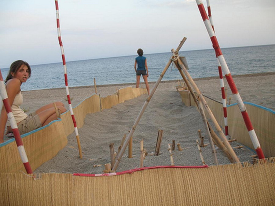  Kornjače CarettaCaretta 